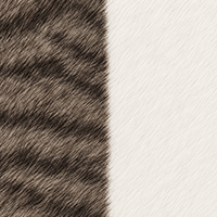 color|white_tabby